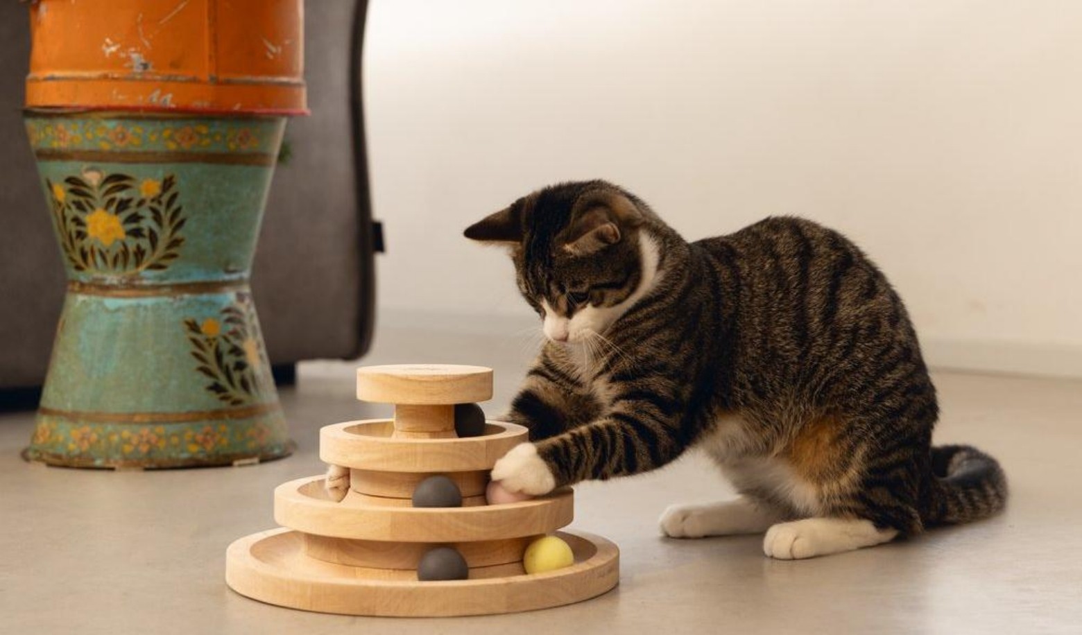 How does your cat react when you hide its favorite toy?