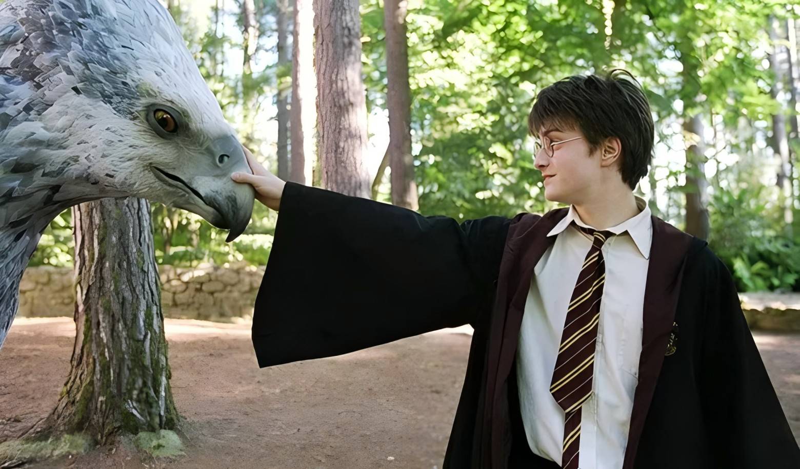 Choose a magical creature as a pet
