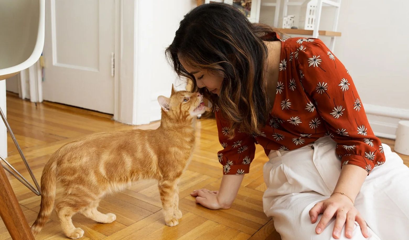 How does your cat react when you enter the room?