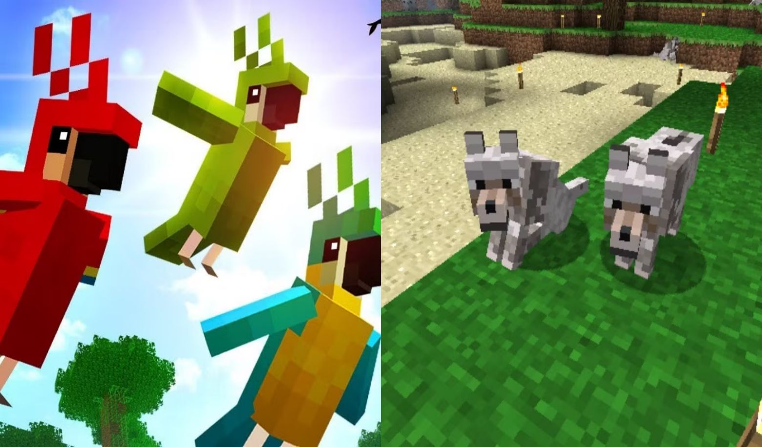 How do you treat animals in Minecraft?