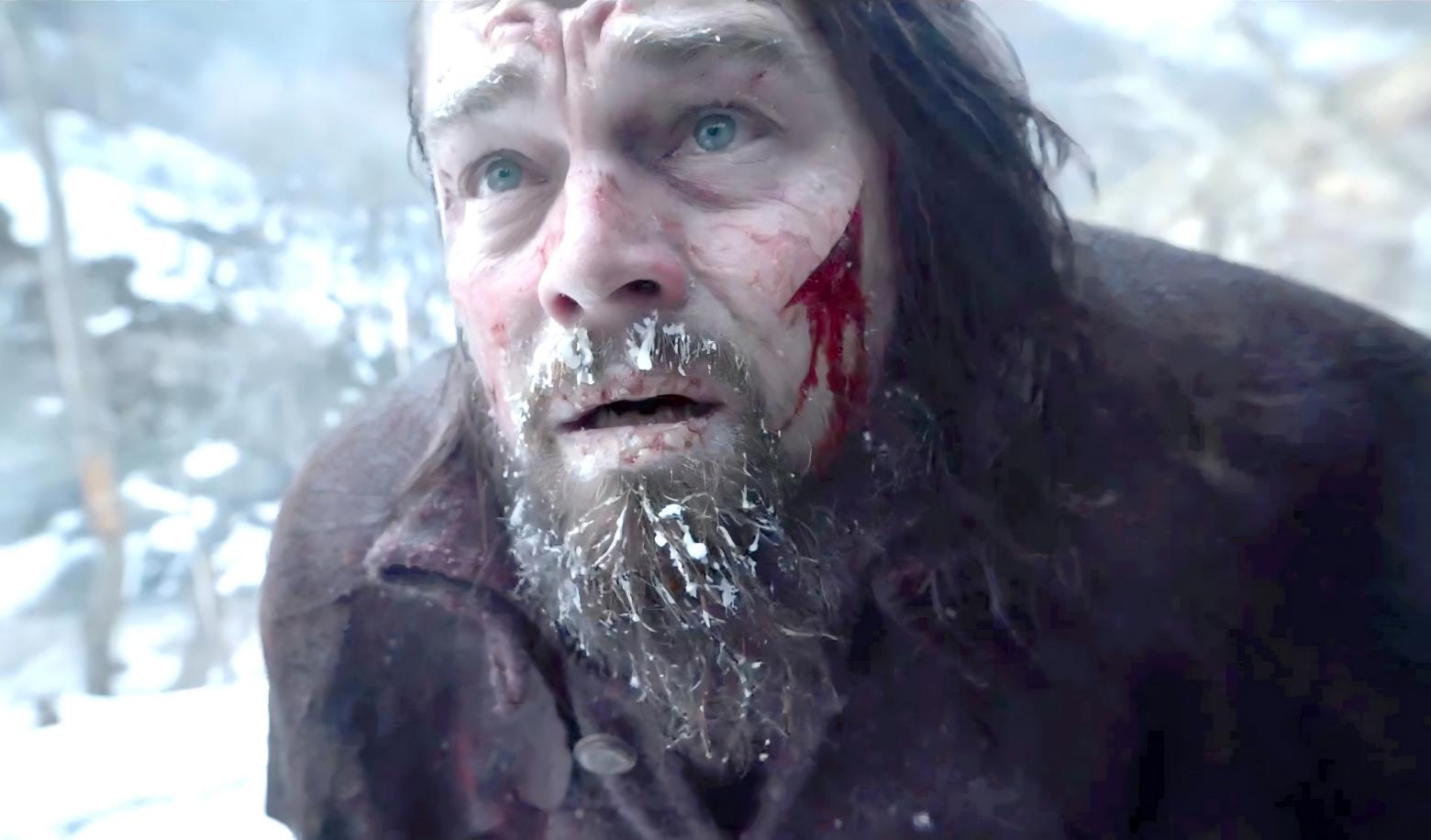 You are wounded and alone in the wilderness. How do you treat the wound?