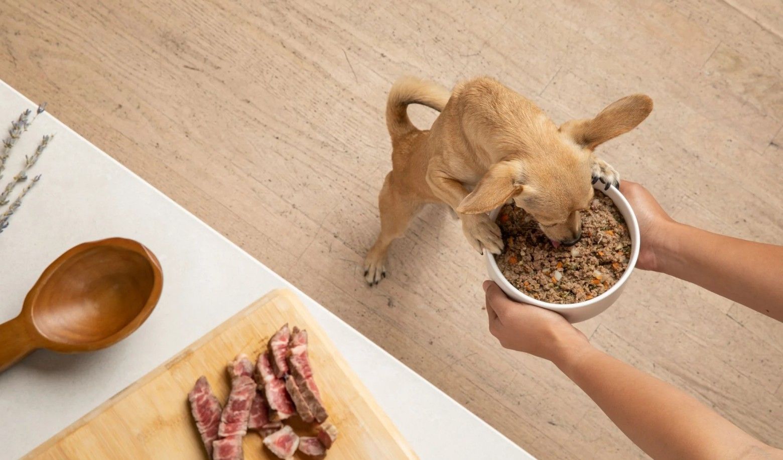 How does your dog react to the amount of food you offer?
