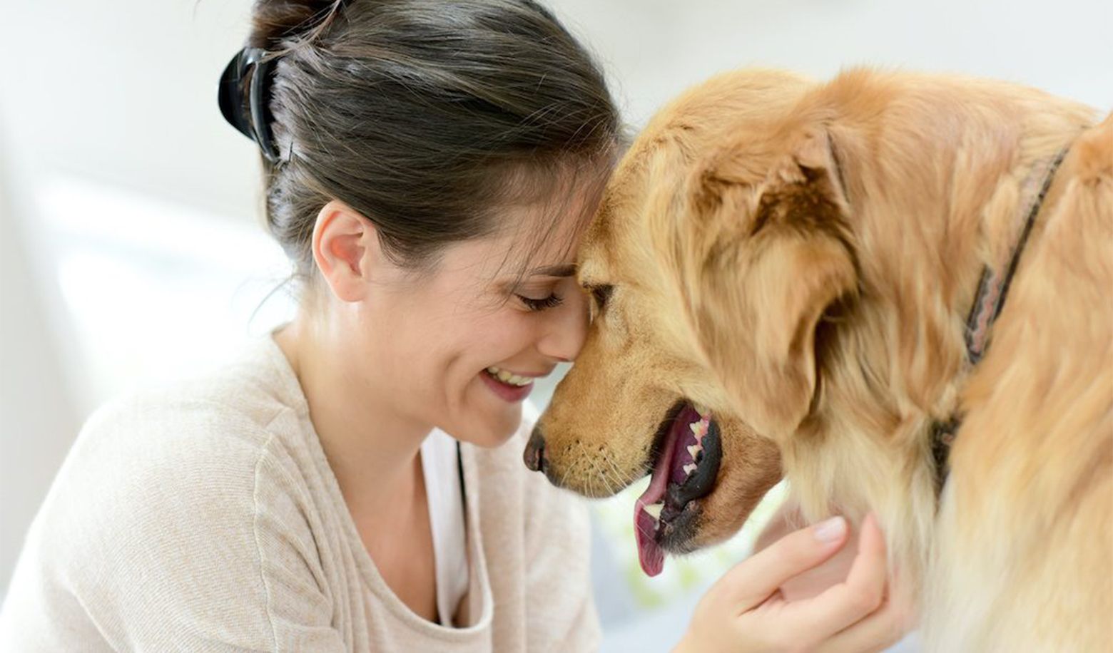 Which behavior do you prefer from your pet?