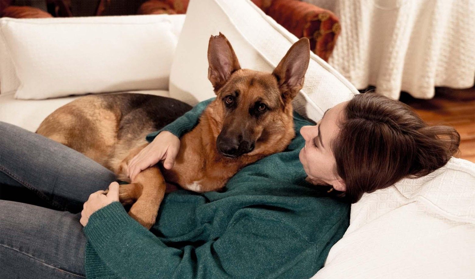 What does your dog usually do when you come home?