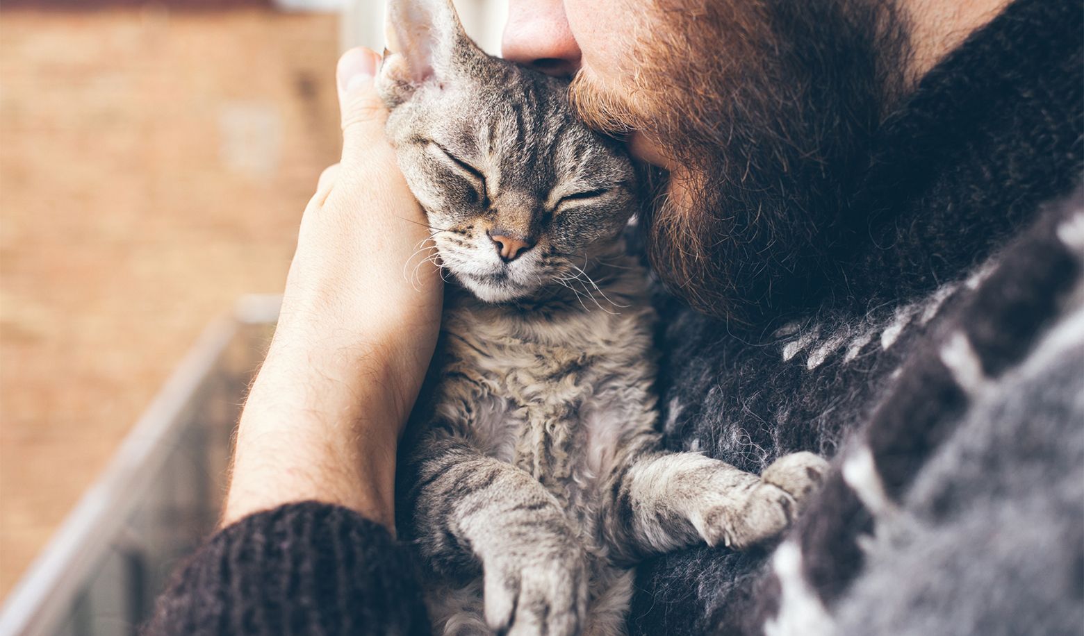 When you interact with your pet, what kind of method do you prefer?