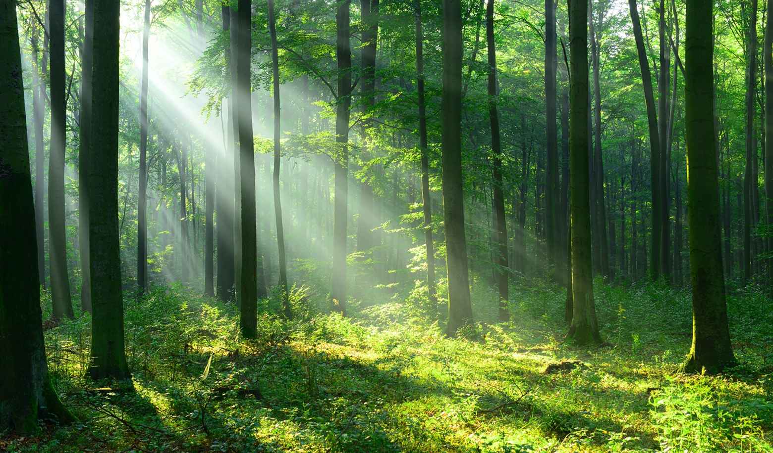 What kind of environments do you prefer?