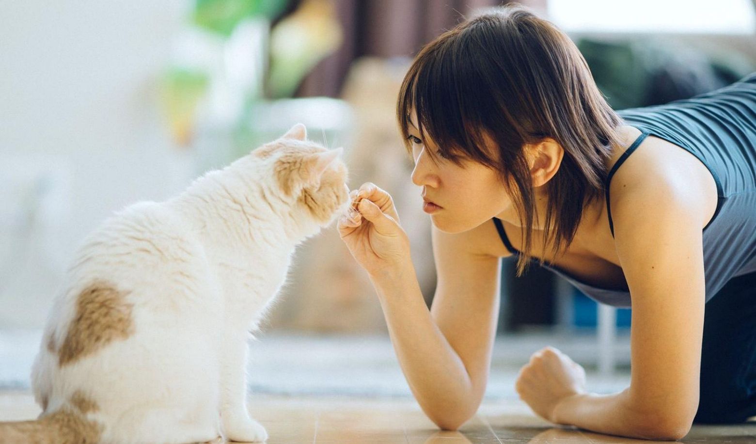 Does your cat understand basic commands, like "sit" or "stay"?