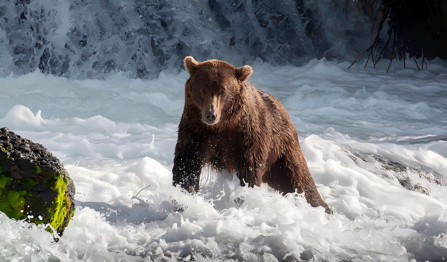 A bear appears out of nowhere, which behavior will help you get out of danger as much as possible?