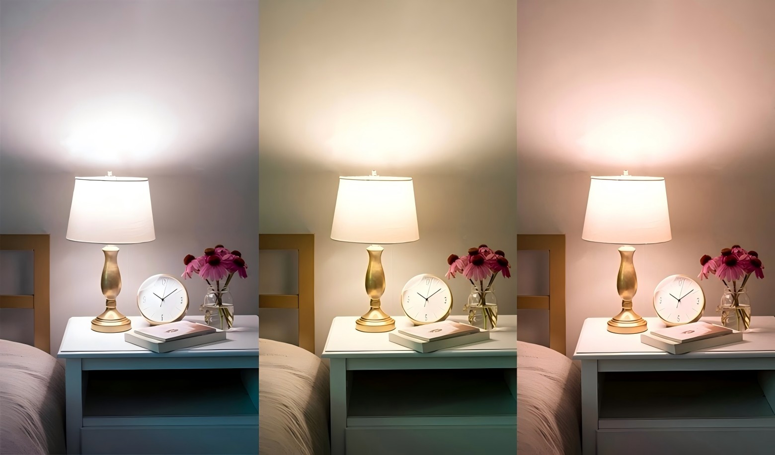 What color of light do you think is best for creating a romantic atmosphere?
