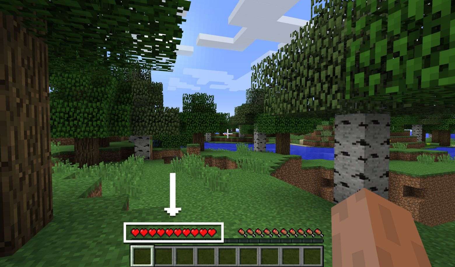 What is your main focus when playing Minecraft?