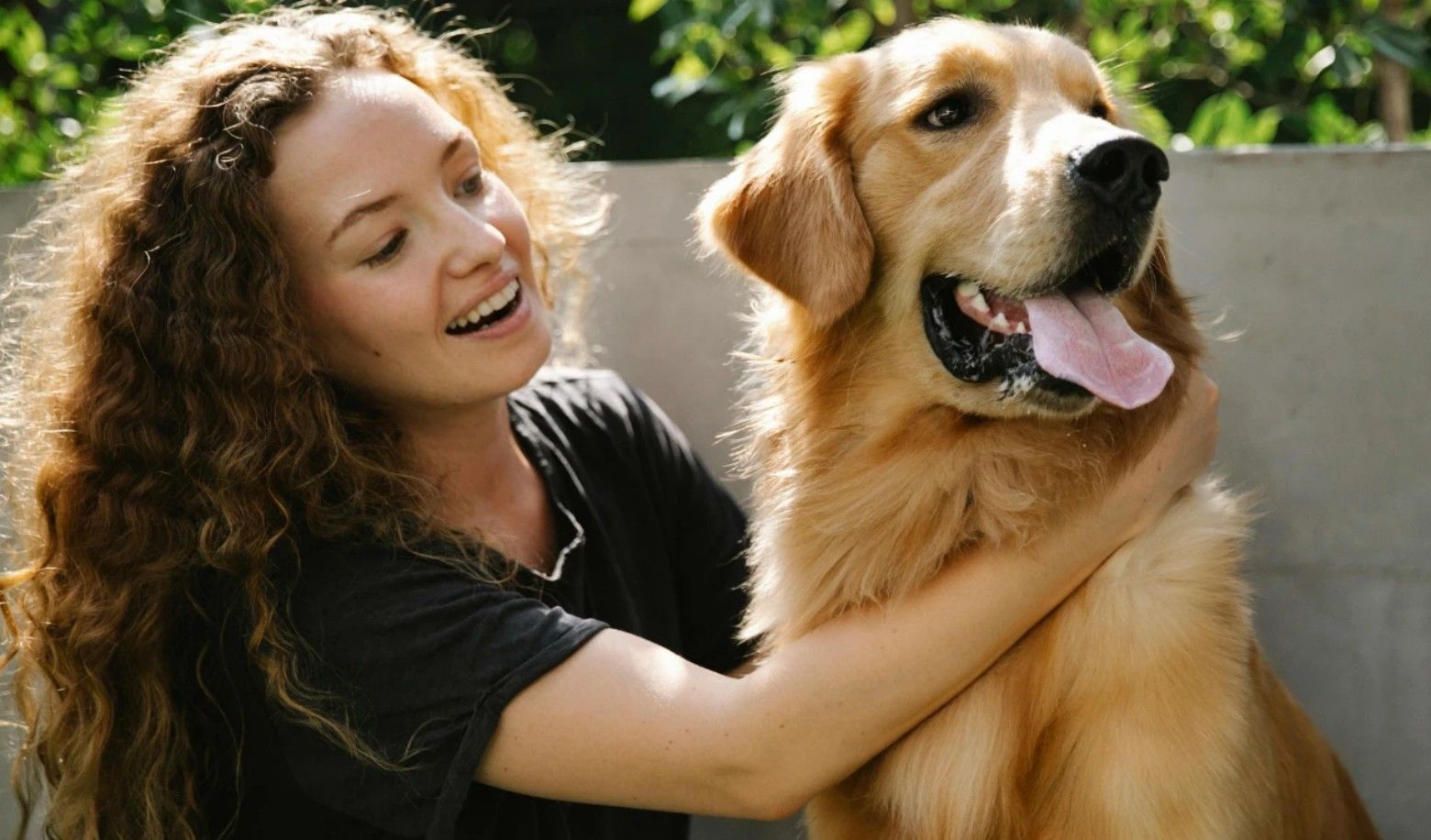 How does your dog react when you pet him?