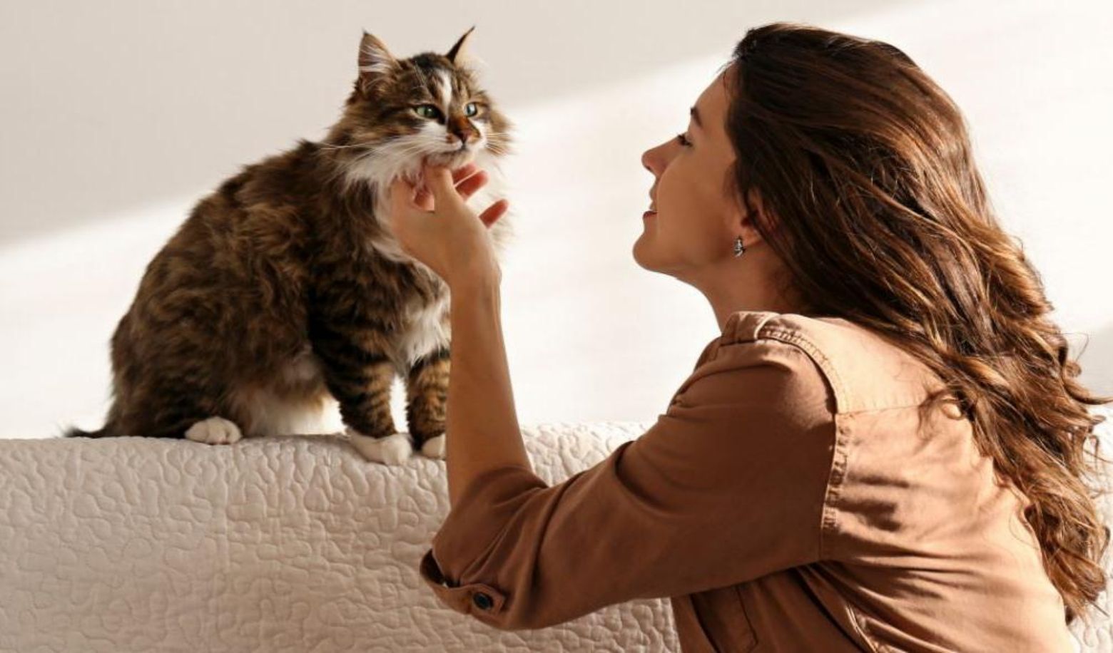 Find out how much your cat loves you!